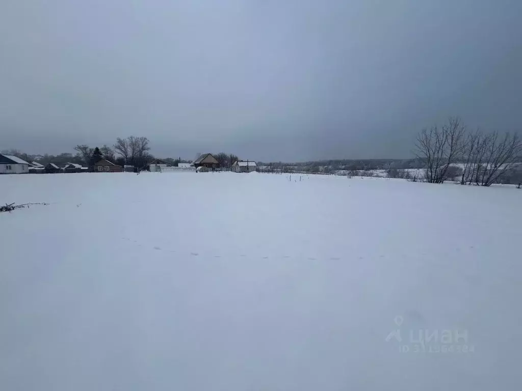 Участок в Пензенская область, Пензенский район, Засечный сельсовет, с. ... - Фото 1