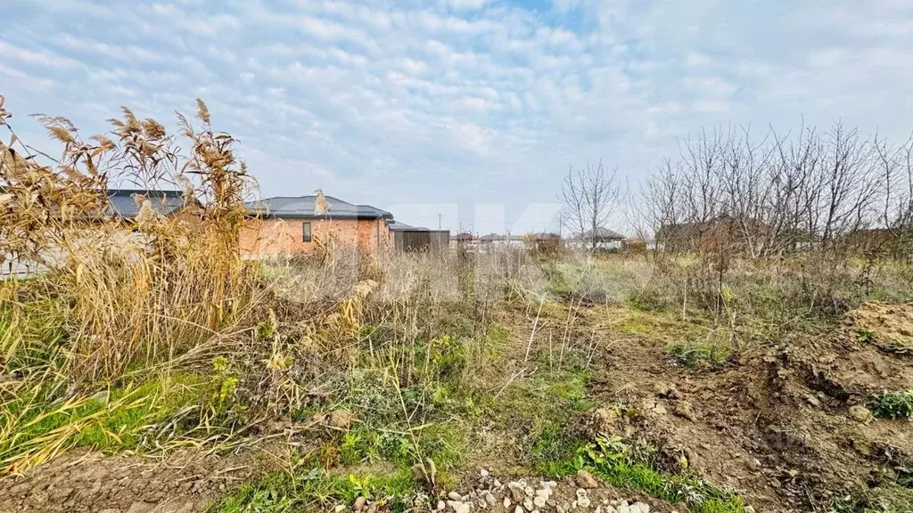 Участок в Краснодарский край, Кореновск ул. Захарченко (8.13 сот.) - Фото 1