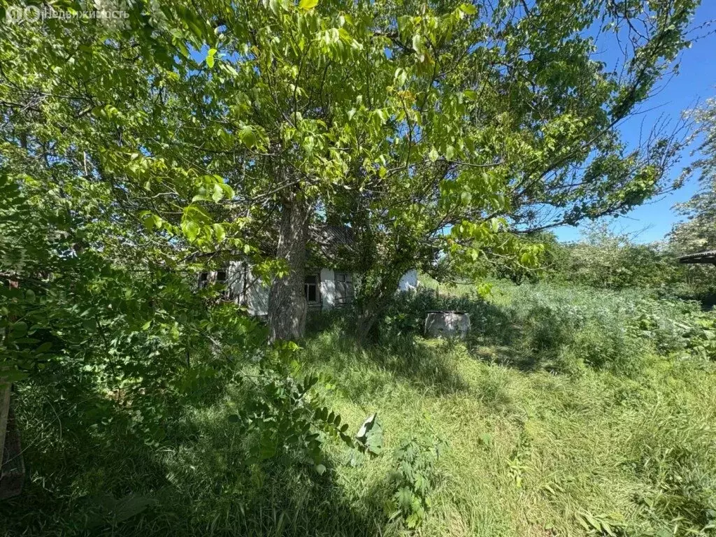 Участок в Ейский район, станица Ясенская (50 м) - Фото 0