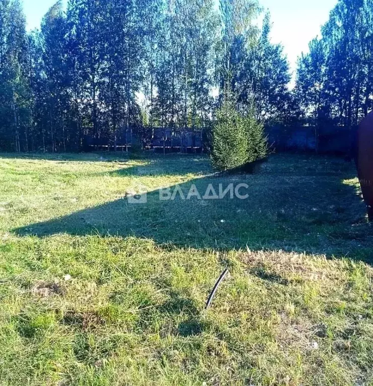 Участок в Ленинградская область, Всеволожский район, Рахьинское ... - Фото 0