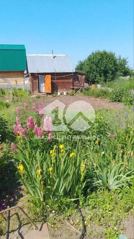 Дом в Новосибирская область, Новосибирск Надежда садовое товарищество, ... - Фото 0