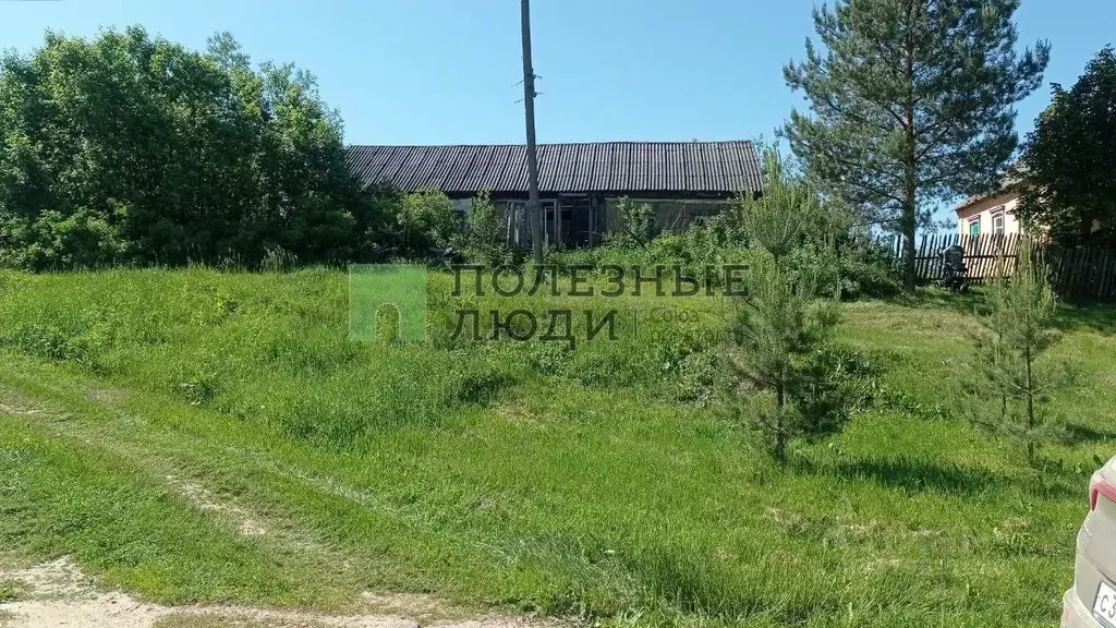 Участок в Орловская область, Орловский район, д. Кнубрь 67 (33.0 сот.) - Фото 1