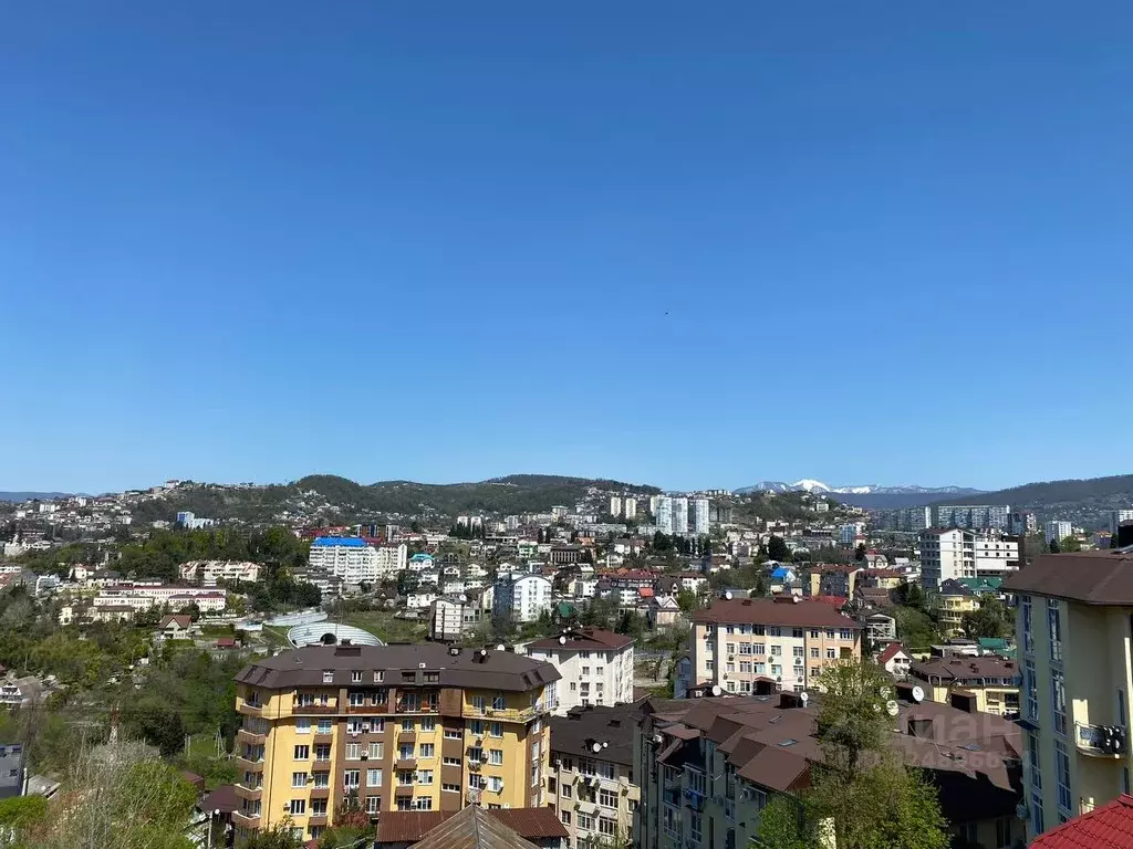 3-к кв. Краснодарский край, Сочи Новый Сочи мкр, ул. Политехническая ... - Фото 2