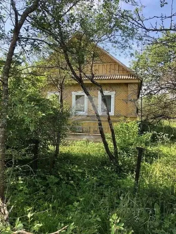 Дом в Новгородская область, Новгородский район, пос. Тесово-Нетыльский ... - Фото 0