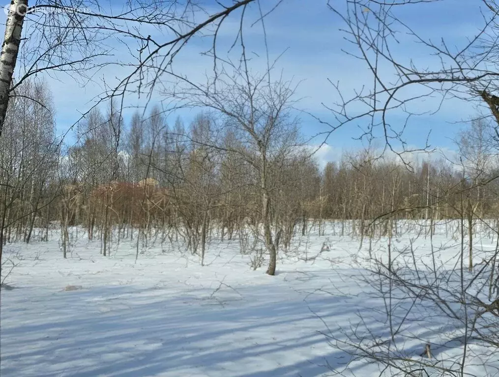 Участок в Тверская область, Кимрский муниципальный округ, деревня ... - Фото 1