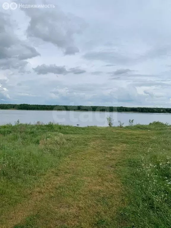 Участок в Ярославская область, Некрасовский муниципальный округ, ... - Фото 1