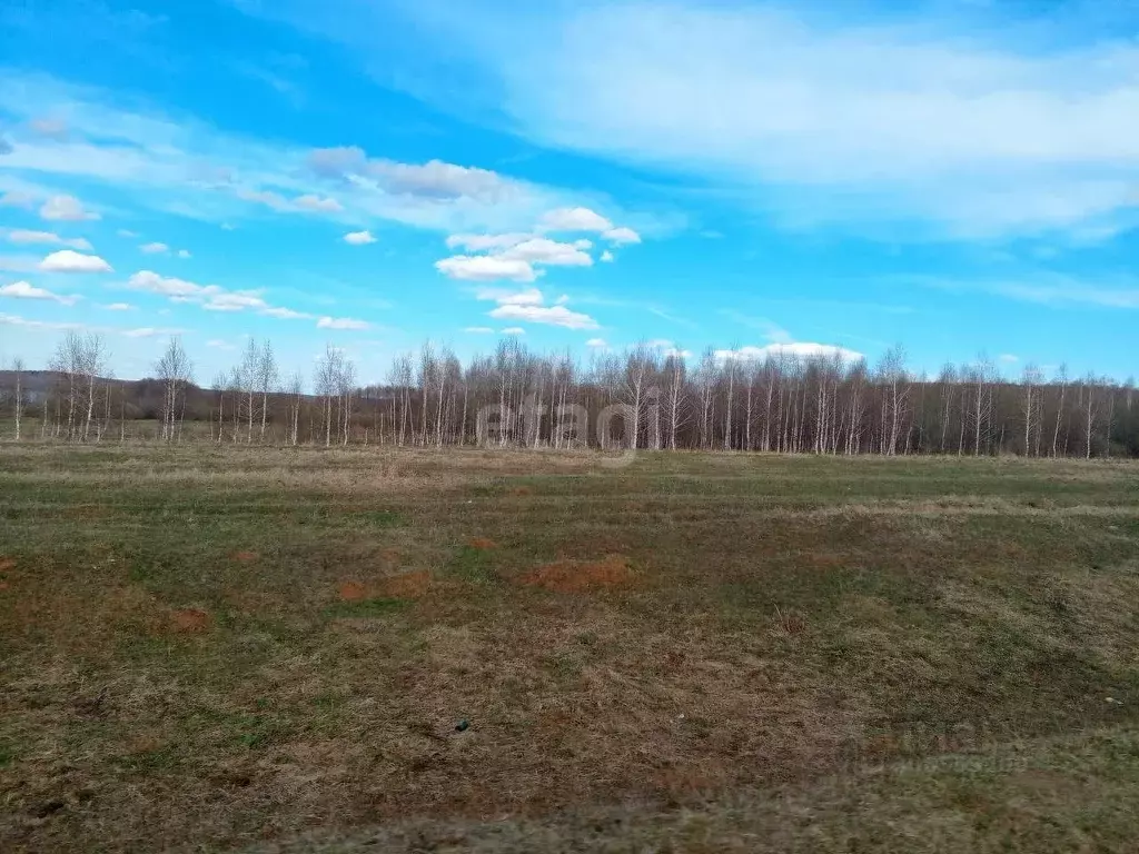 Участок в Нижегородская область, Дальнеконстантиновский муниципальный ... - Фото 1