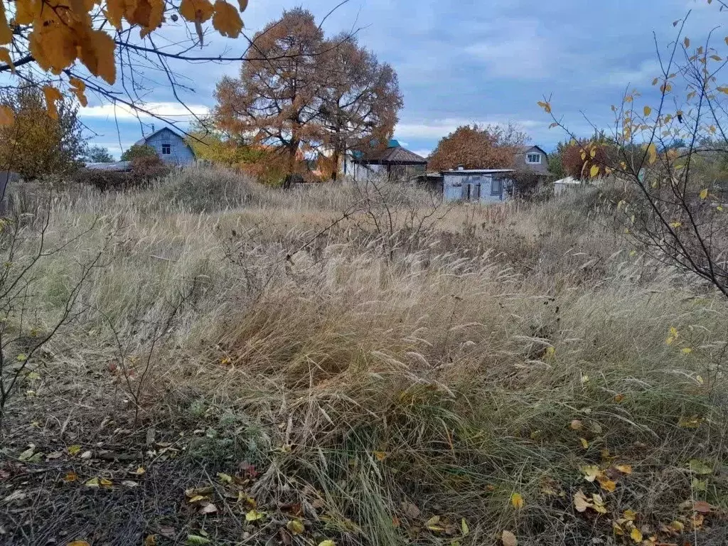 Участок в Воронежская область, Воронеж Березка СНТ, 11-я линия, 521 ... - Фото 1