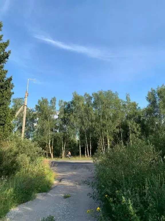 Участок в Ивановская область, Ивановский муниципальный округ, д. ... - Фото 2