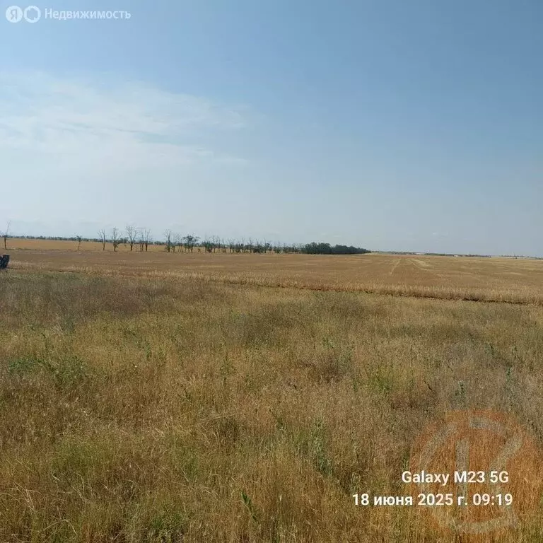Участок в Новоивановское сельское поселение (6.24 м) - Фото 1