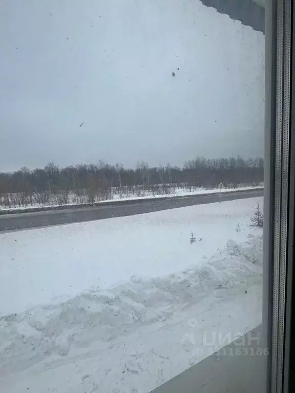 Производственное помещение в Самарская область, Шентала ж/д_ст ул. ... - Фото 2