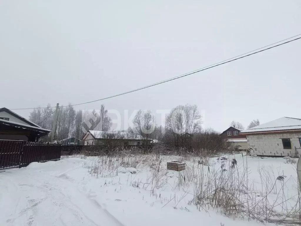 Участок в Ленинградская область, Гатчинский район, Дони ТСН 4-я линия ... - Фото 1