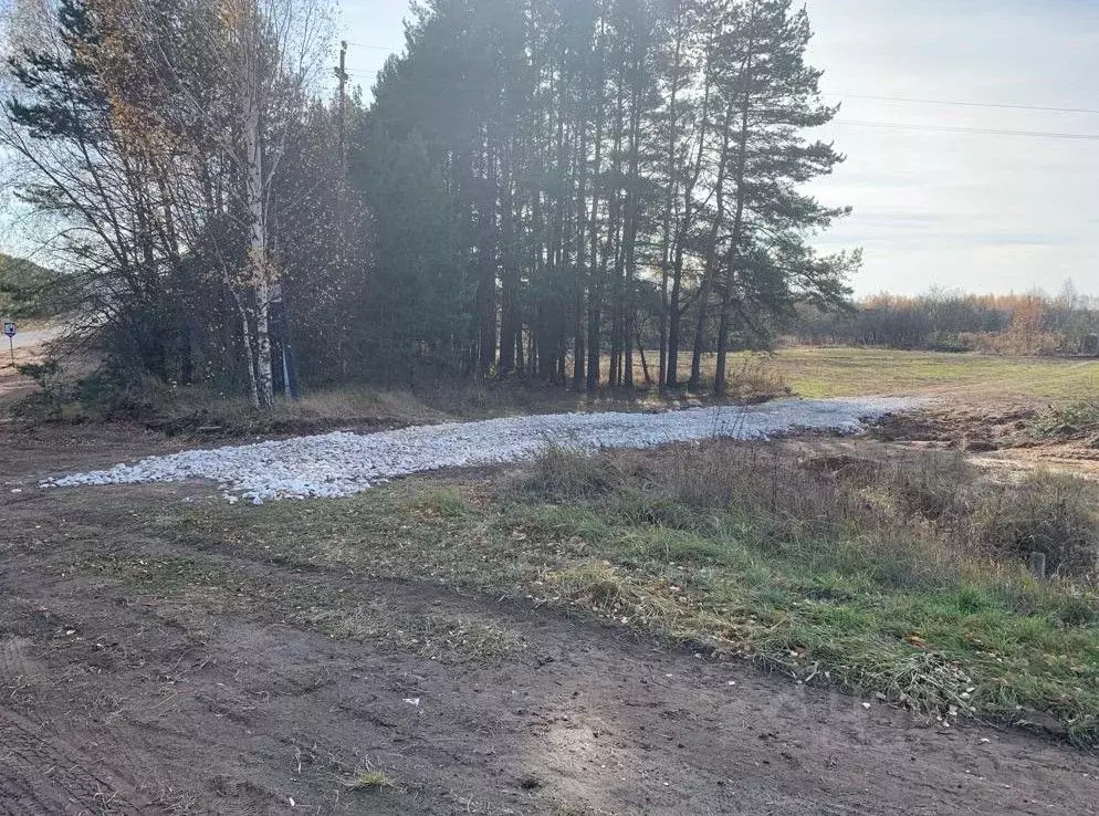 Купить Участок В Богородске Нижегородской