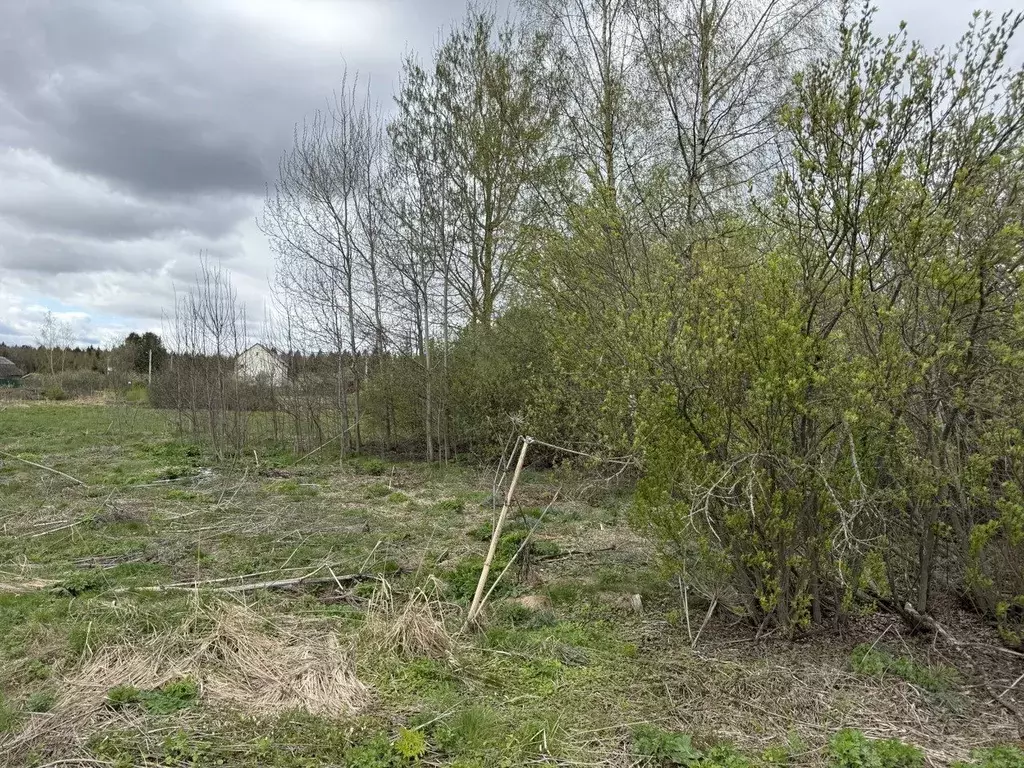 Участок в Московская область, Пушкинский городской округ, д. ... - Фото 2