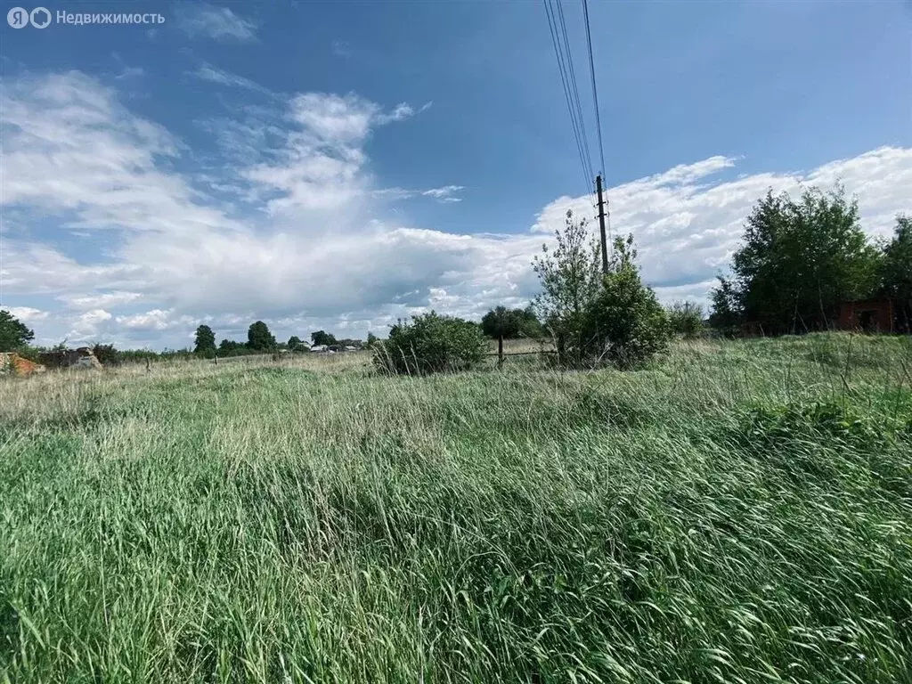 Участок в Рязанская область, Спасский муниципальный округ, село ... - Фото 2