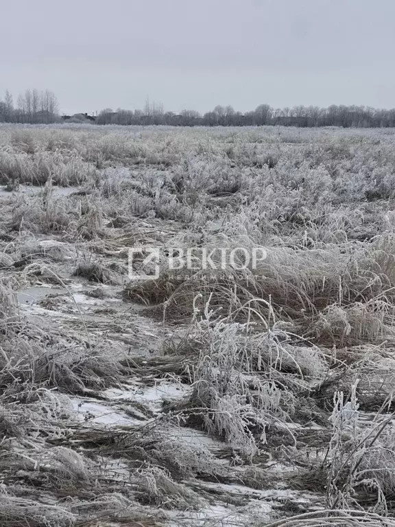 Участок в Костромская область, Кострома проезд Ситцевый (9.0 сот.) - Фото 1