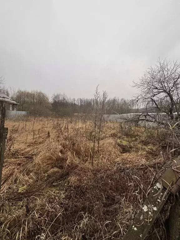 Участок в Московская область, Егорьевск муниципальный округ, пос. ... - Фото 1