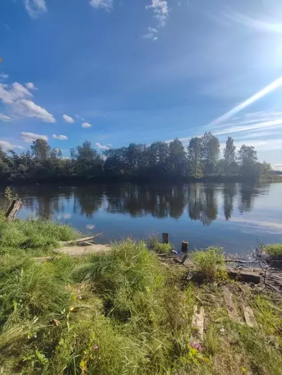 Участок в Ленинградская область, Всеволожский район, Свердловское ... - Фото 0