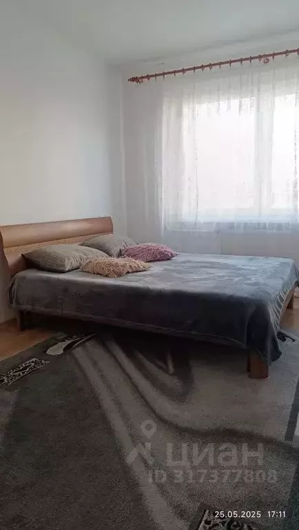 1-к кв. Калининградская область, Калининград ул. Олега Кошевого, 35 ... - Фото 0