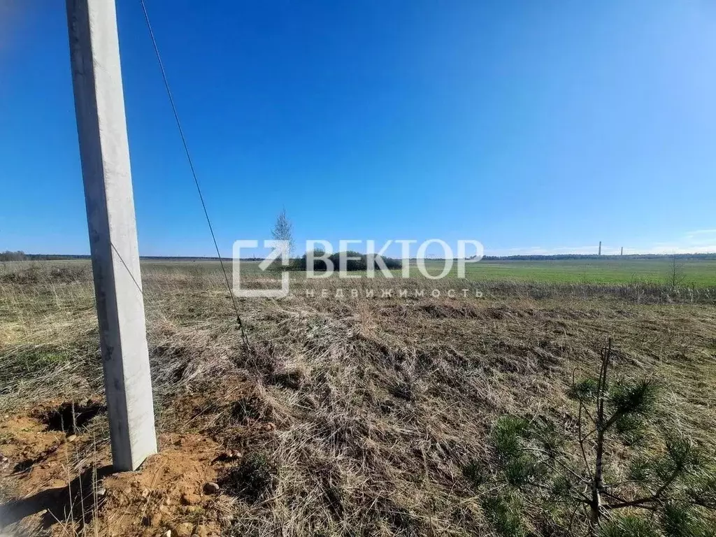 Участок в Костромская область, Костромской район, Никольское с/пос, ... - Фото 1