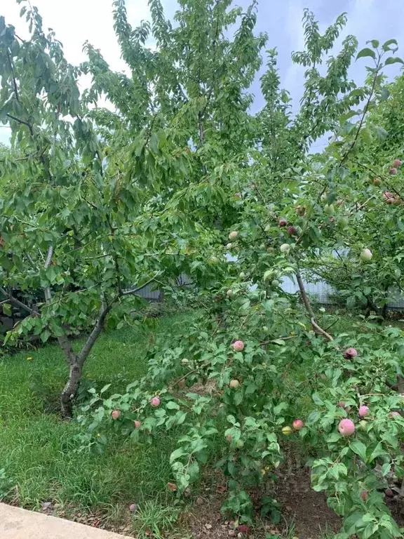 Дом в Волгоградская область, Городищенский район, Ерзовское городское ... - Фото 1