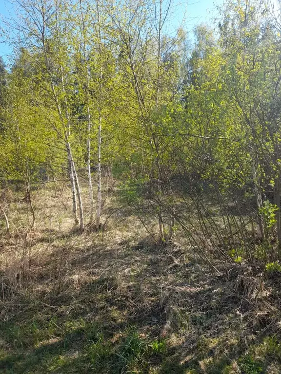 Участок в Московская область, Шатура муниципальный округ, пос. ... - Фото 0