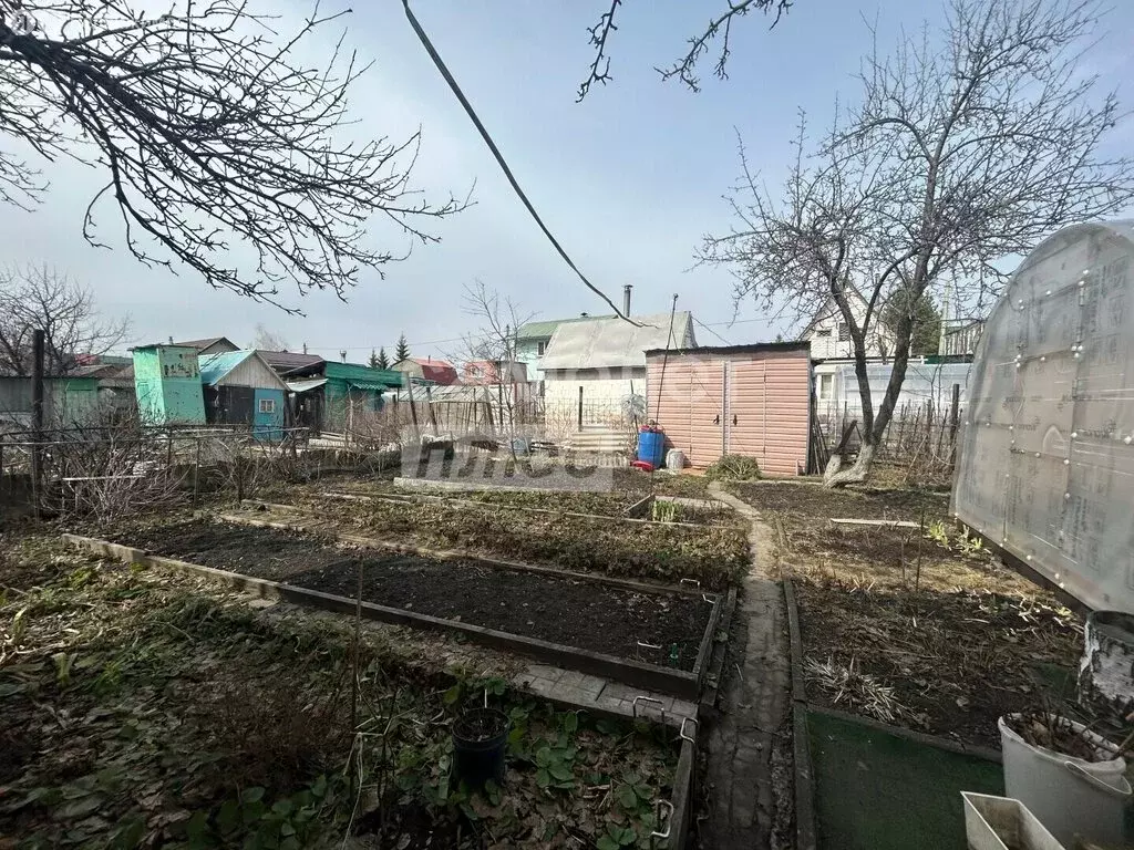 Дом в Челябинская область, Сосновский муниципальный округ, СНТ Петушок ... - Фото 2