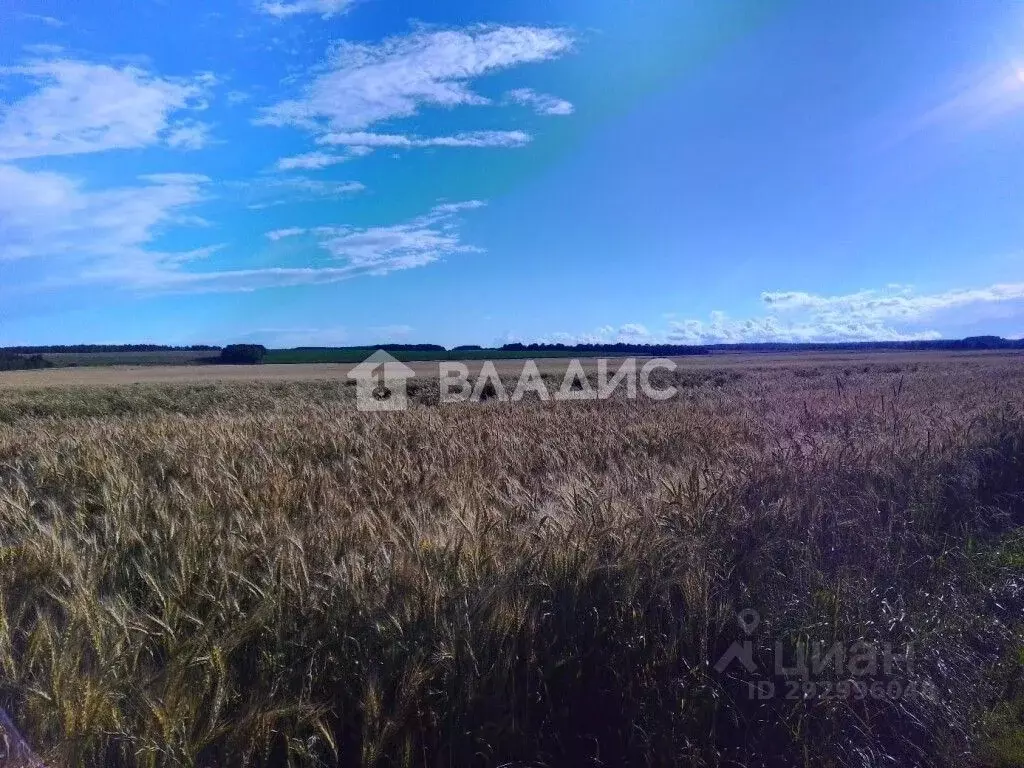 Участок в Калужская область, Жуковский район, Высокиничи с/пос, ... - Фото 2