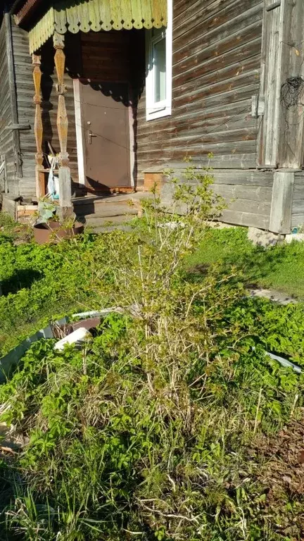 Дом в Тверская область, Вышний Волочек ул. Ямская, 63 (63 м) - Фото 1