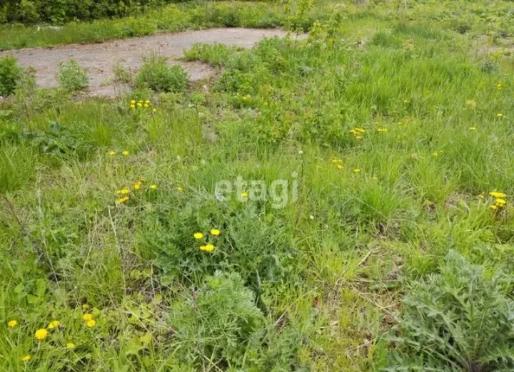 Участок в Мордовия, Саранск городской округ, с. Зыково ул. Советская ... - Фото 1