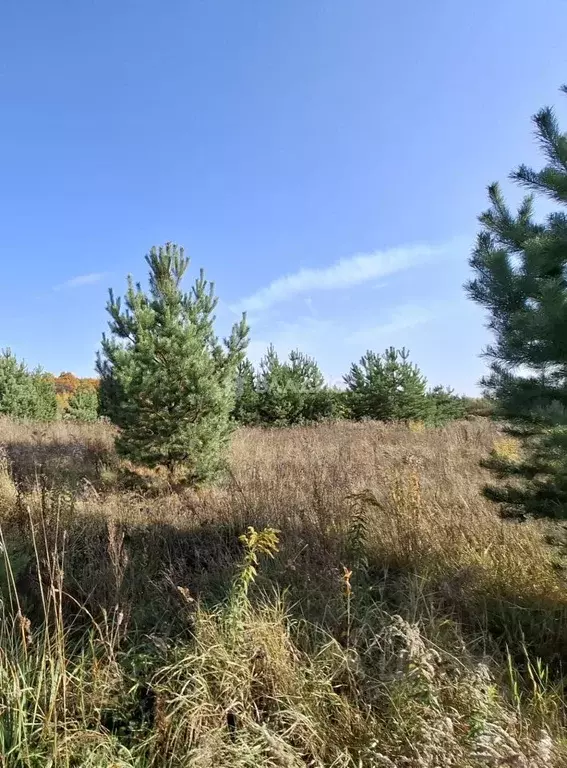 Участок в Владимирская область, Владимир д. Уварово,  (6.25 сот.) - Фото 1