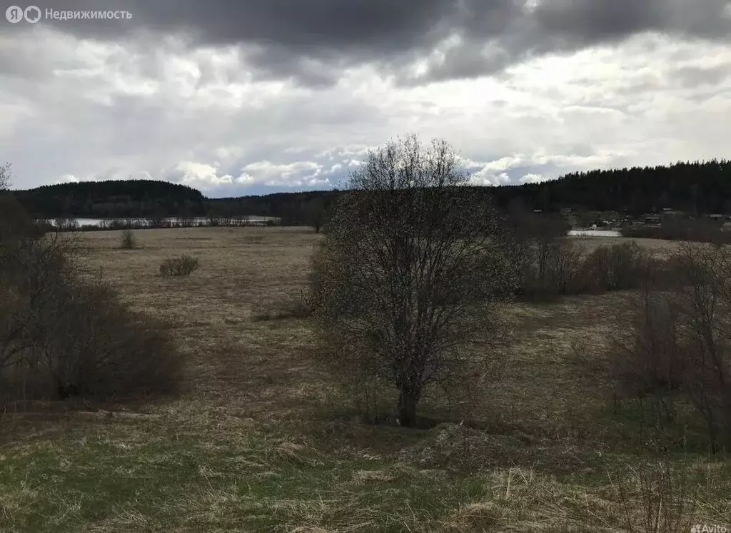 Участок в Республика Карелия, Лахденпохский муниципальный округ, ... - Фото 1