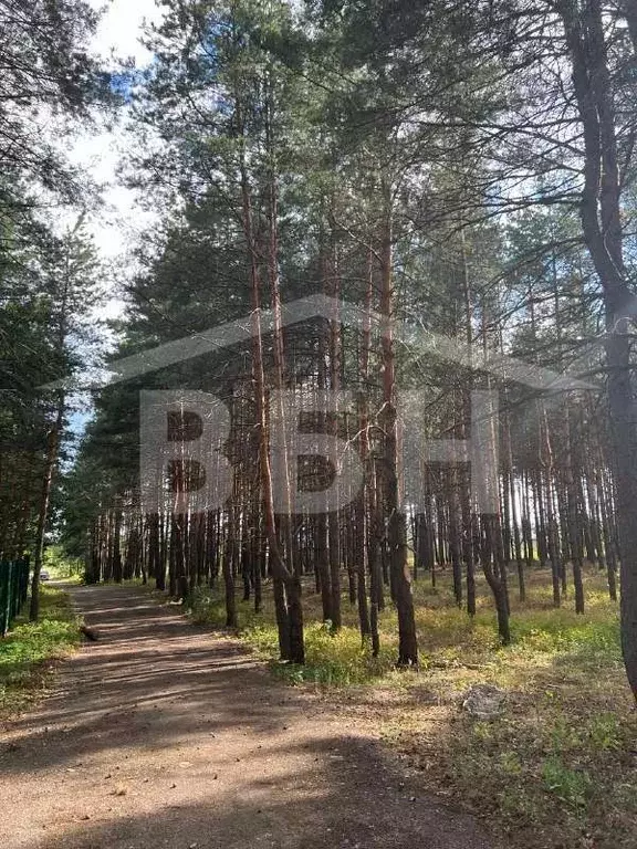 Купить Участок В Воронеже Рамонский Район
