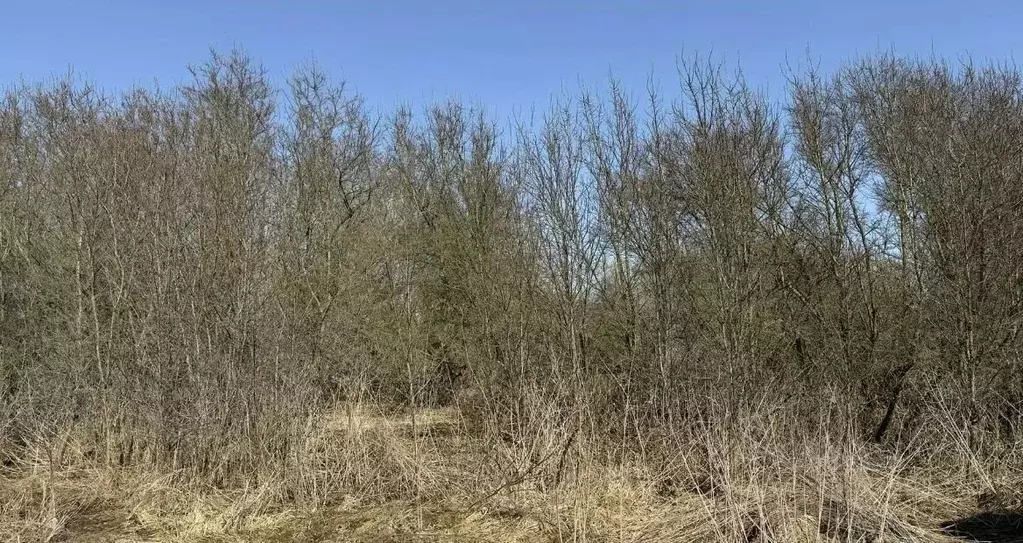 Участок в Московская область, Можайский муниципальный округ, д. Сельцы ... - Фото 2