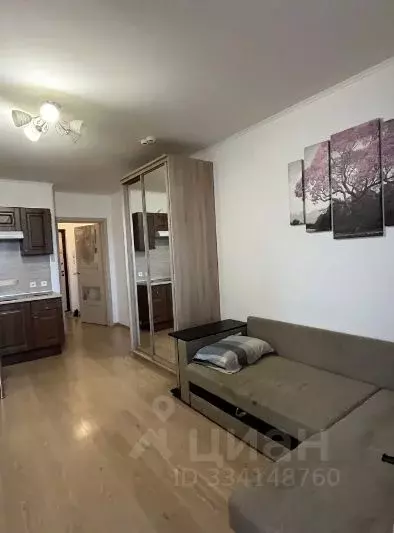 1-к кв. Санкт-Петербург просп. Энергетиков, 9к6 (25.1 м) - Фото 1