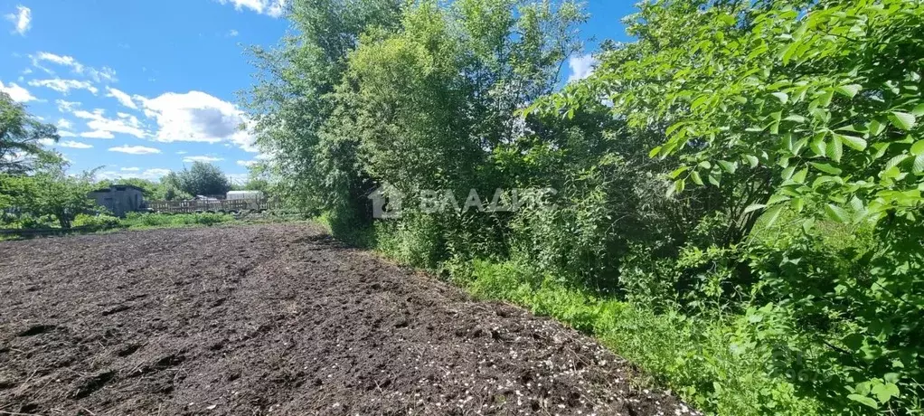 Участок в Амурская область, Благовещенск Мукомол СТ,  (8.4 сот.) - Фото 1