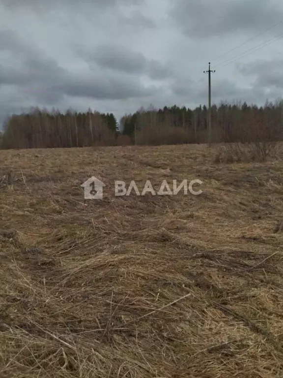 Участок в Вологодская область, Кирилловский муниципальный округ, с. ... - Фото 1