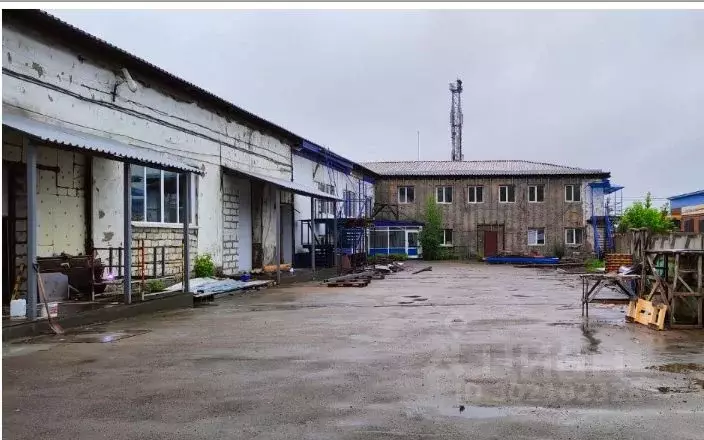 Производственное помещение в Иркутская область, Иркутск ул. Розы ... - Фото 1