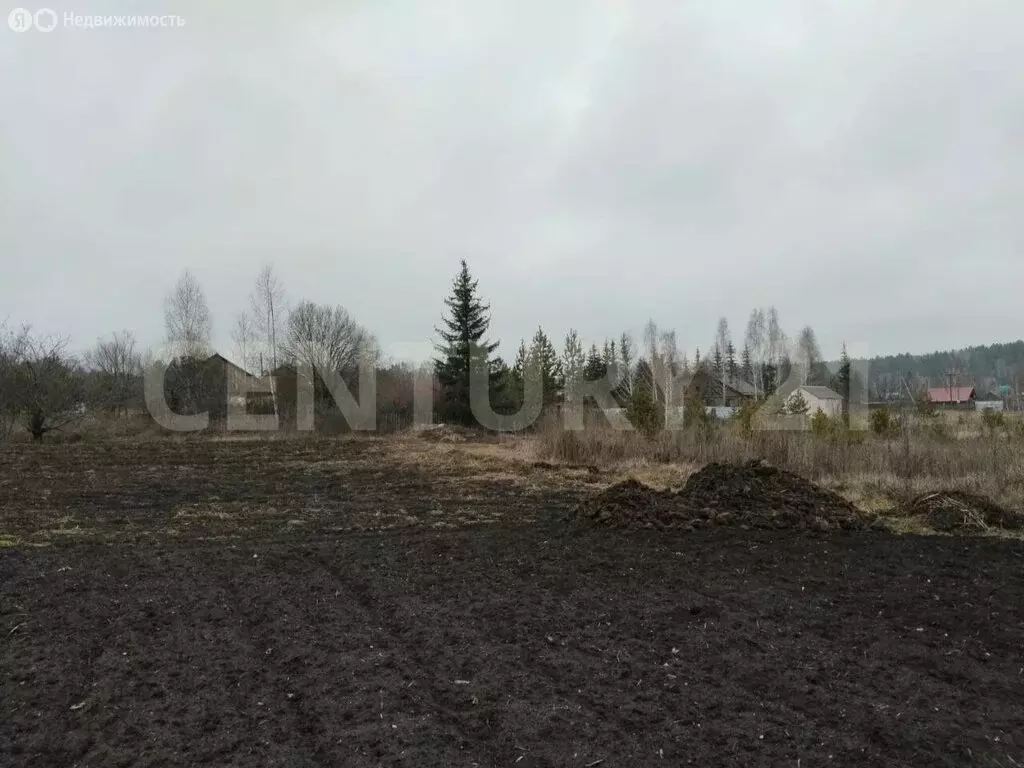 Участок в Сенгилеевский район, Тушнинское сельское поселение, село ... - Фото 2