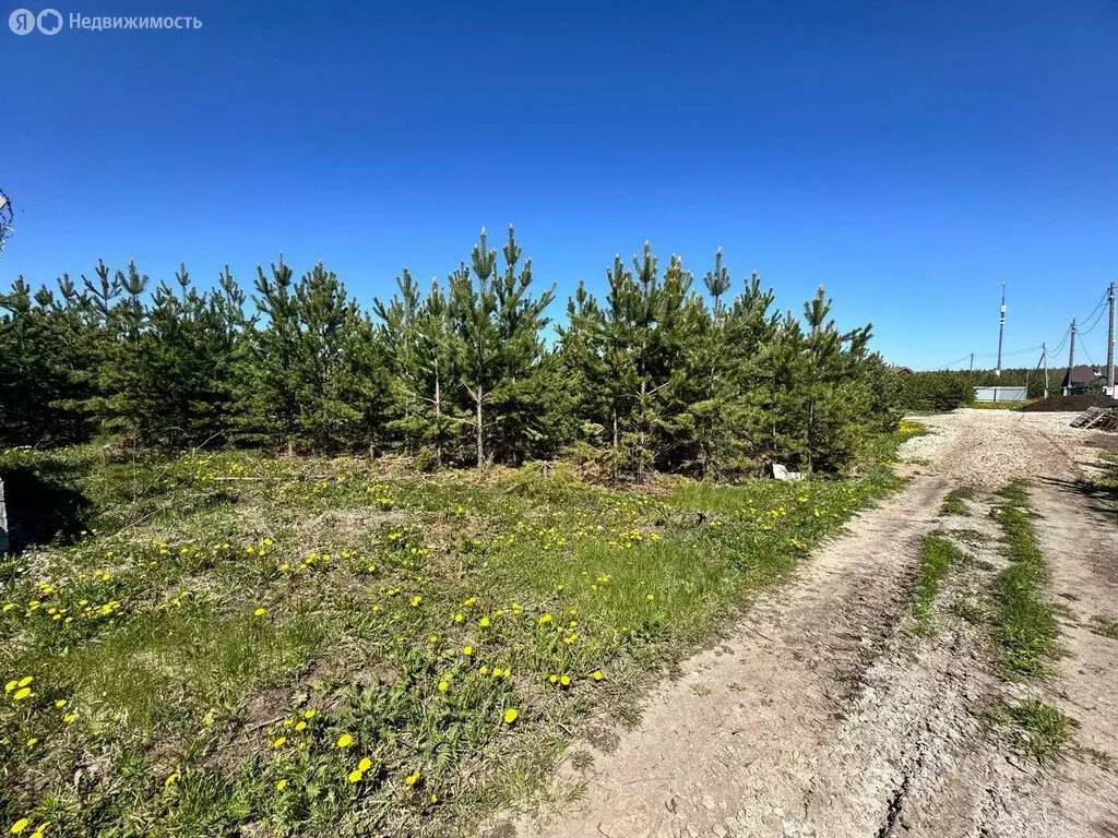 Участок в Свердловская область, Белоярский муниципальный округ, КП ... - Фото 2