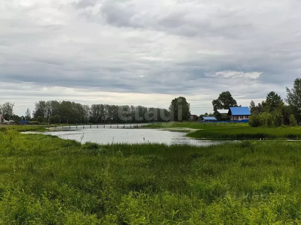 Участок в Вологодская область, пос. Непотягово  (4.0 сот.) - Фото 1
