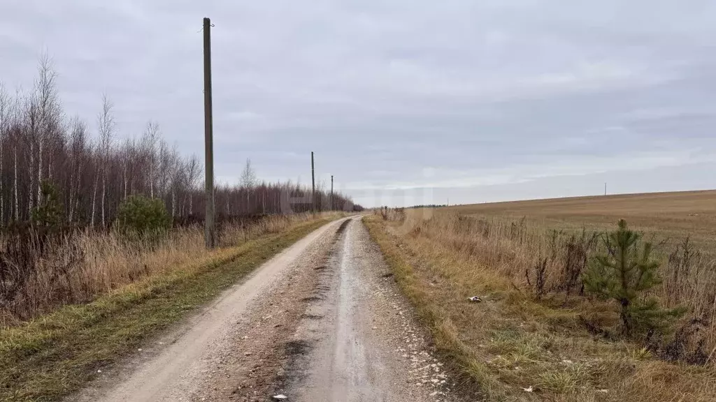 Участок в Нижегородская область, Нижний Новгород с. Запрудное, ул. ... - Фото 2
