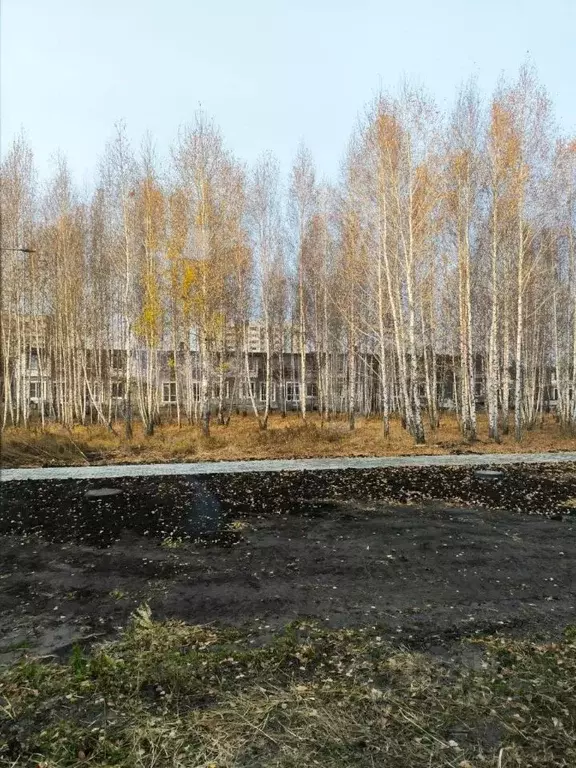 Таунхаус в Курганская область, Курган Заозерный жилрайон, 15-й мкр, 9 ... - Фото 2