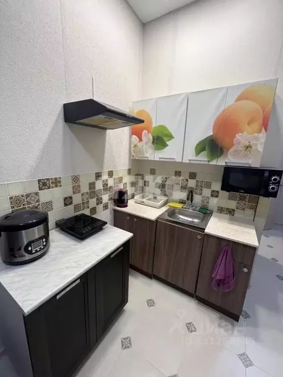 Студия Краснодарский край, Анапа ул. Ленина, 180к8 (19.2 м) - Фото 1
