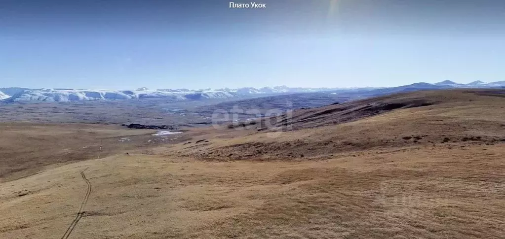 Участок в Алтай, Кош-Агачский район, Джазаторское с/пос, с. Беляши  ... - Фото 0