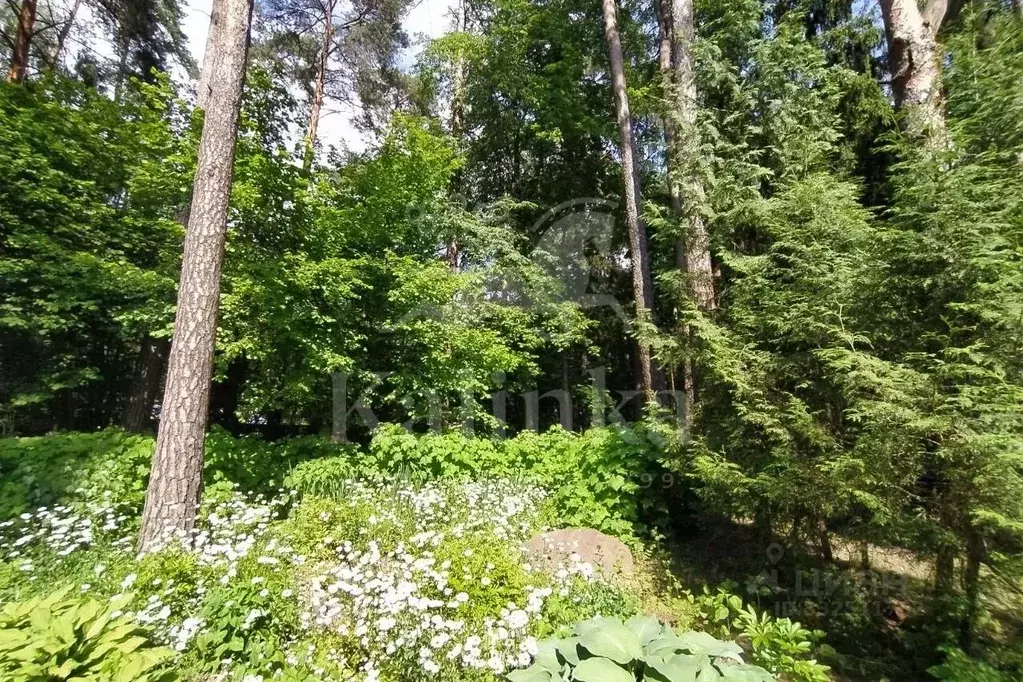 Участок в Московская область, Красногорск городской округ, д. ... - Фото 2