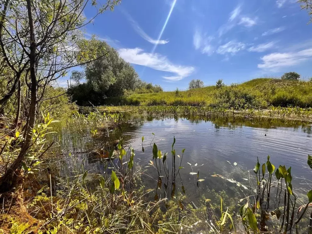 Дом в Башкортостан, Благовещенский район, Ильино-Полянский сельсовет, ... - Фото 2