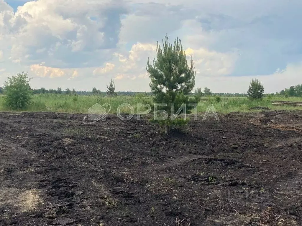 Участок в Тюменская область, Вагайский муниципальный округ, д. Елань ... - Фото 2