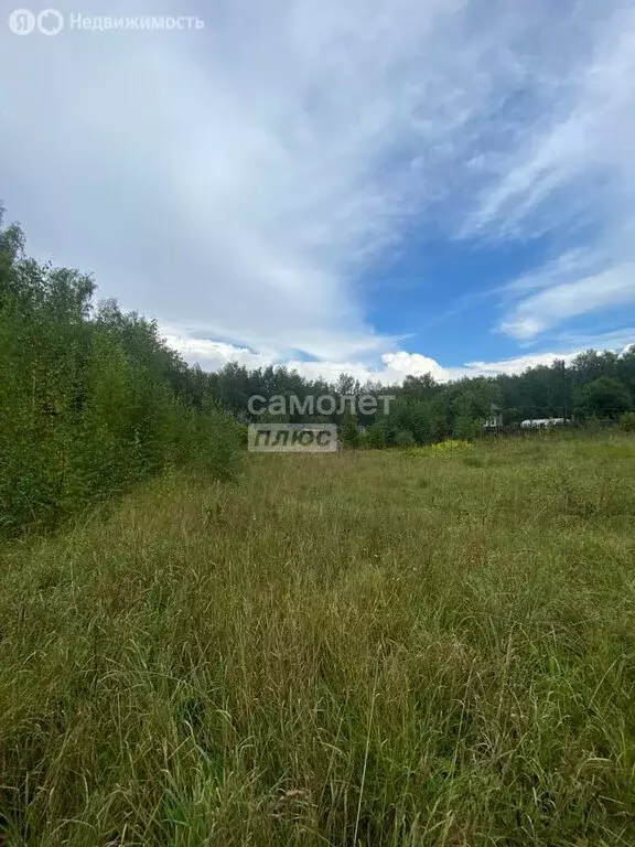 Участок в Юрьевецкий район, Соболевское сельское поселение, село ... - Фото 0