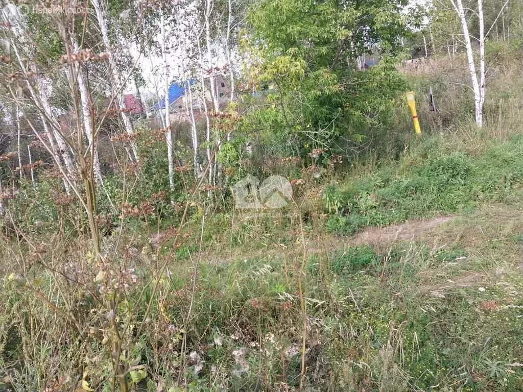 Участок в Новосибирск, СТ Заря-3, 145 (6.83 м) - Фото 1